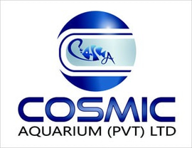Cosmic Aquarium Pvt Ltd logo