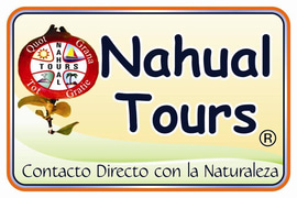 Nahual Tours logo