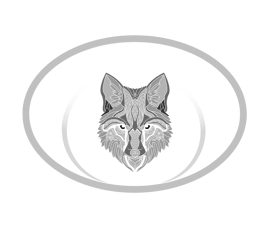 Foxrise custom car parts logo