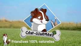 Friandises et aliments pour chiens de qualité avec 5 € de réduction en utilisant un code de parrain