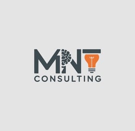 Logo MNT CONSULTING