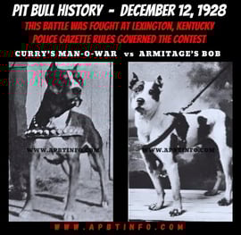 historical dog fighting 1928 currt's man o war vs Armitages Bob Police Gazette Rules