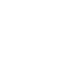 the ommichannel diagnostic diagram on a clear background