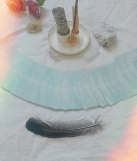 a feather feather feather feather feather feather feather feather feather feather feather feather feather feather feather