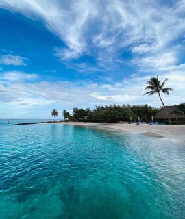 Beach in Huahine with coconut trees, in French Polynesia.