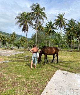 Manon et un cheval sur une plage avec des palmiers à Huahine