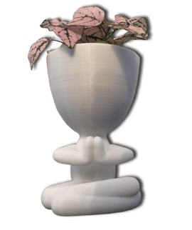 Pots de fleur blanc