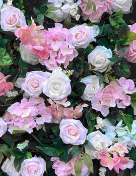 cvetlično stena za najem