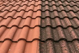 Dachreinigung-vergelichsbild-vorher-nachher-reinigung