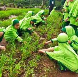Siswa sedang belajar menanam sayuran kangkung