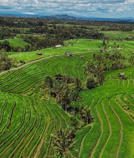 Paysage aérien des rizières de Jatiluwih à Bali.