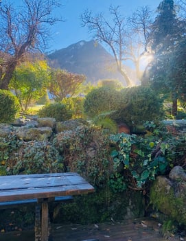 vue de la terrasse et du jardin du gîte La Grange Russell