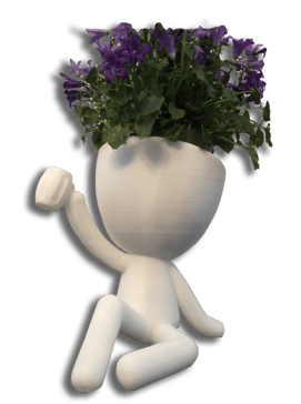Pots de fleurs festif