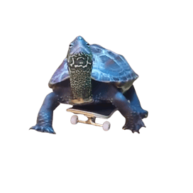 SkaterTurtle logo