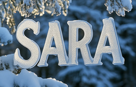 Christmas Winter Gift logo