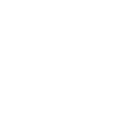 Beauty Steps logo