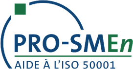 Logo Pro-SMEn