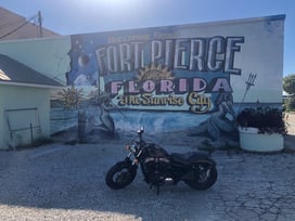 a motorcycle parked in front of a mural of a mural of a florida flag
