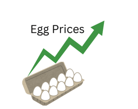 egg prices