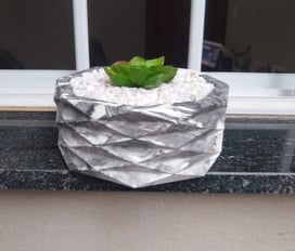 a planter with a plant in a window