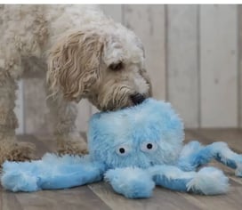 peluches pour chien