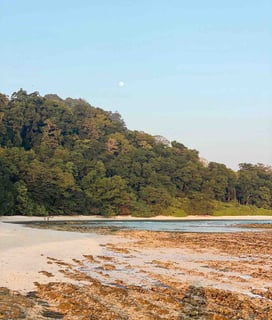 Scenic bay with lush vegetation in the background during sunset on Havelock Island, Andaman Islands, India.