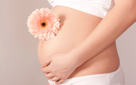 a pregnant woman with a flower in her belly