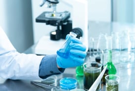 Longevidad: ¿qué dice la ciencia?