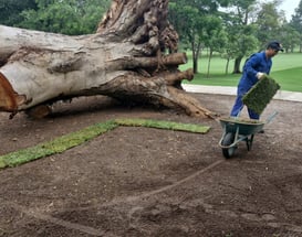 regularização ambiental