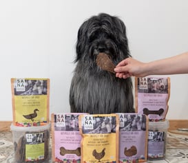 filets de viande sechée pour chien