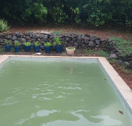 piscine-sale-boue