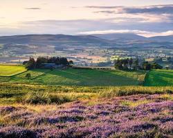 Northumberland moors