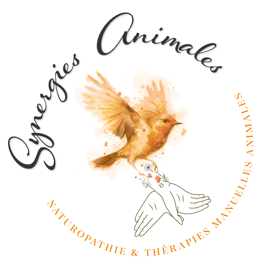 logo de l'entreprise synergies animales, représentant un rouge gorge, des mains et des coquelicots