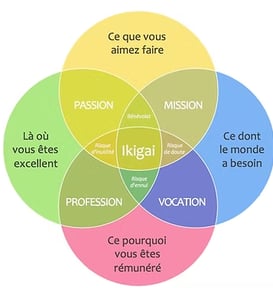 IKIGAI, formation, bilan de compétences, conversion professionnelle, CPF, Qualipoi, carrière, aide
