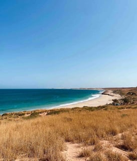 Wild Red Bluff Beach with its red cliffs and the Indian Ocean in the background, in Western Australia.