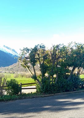 Élagage et taille d’arbustes en cours, avec vue sur montagne