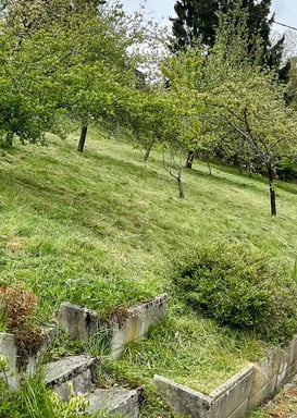 Débroussaillage d’un terrain en pente en haute savoie