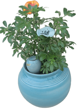 Pot de fleur Boule bleu turquoise