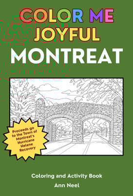 Color Me Joyful Montreat