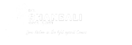 Dr ShaneAli Logo
