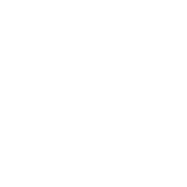 Leva Agency logo