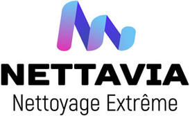 NETTAVIA logo