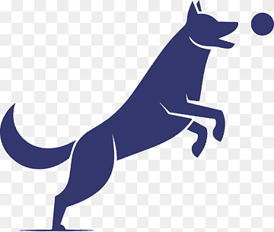 Fetchin' Veterinary Services logo