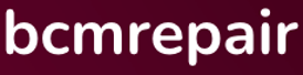 bsirepair logo