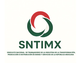 SNTIMX logo