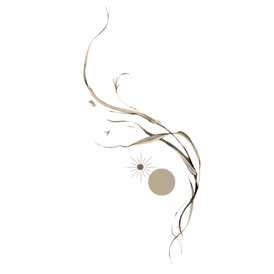 Hulihan's Acupuncture logo