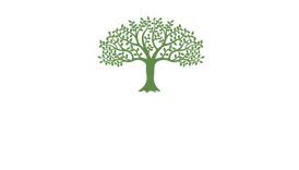 tatvamasi-the bridge of hope