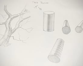 Study tree trunks using ideas about cylinders, light direction andcross contours.