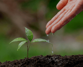 água pura para a terra