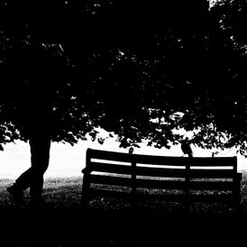A bird sits atop a park bench while a man walk by, all in total shadow on Bruntsfield Links, Edinburgh